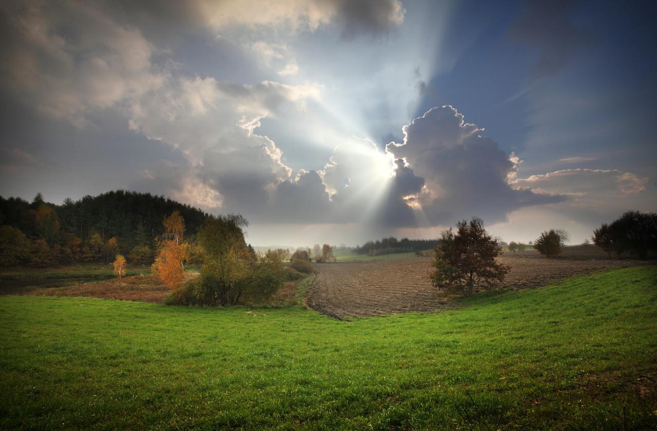 Sierakowice  Palac I Folwark Nemino מראה חיצוני תמונה