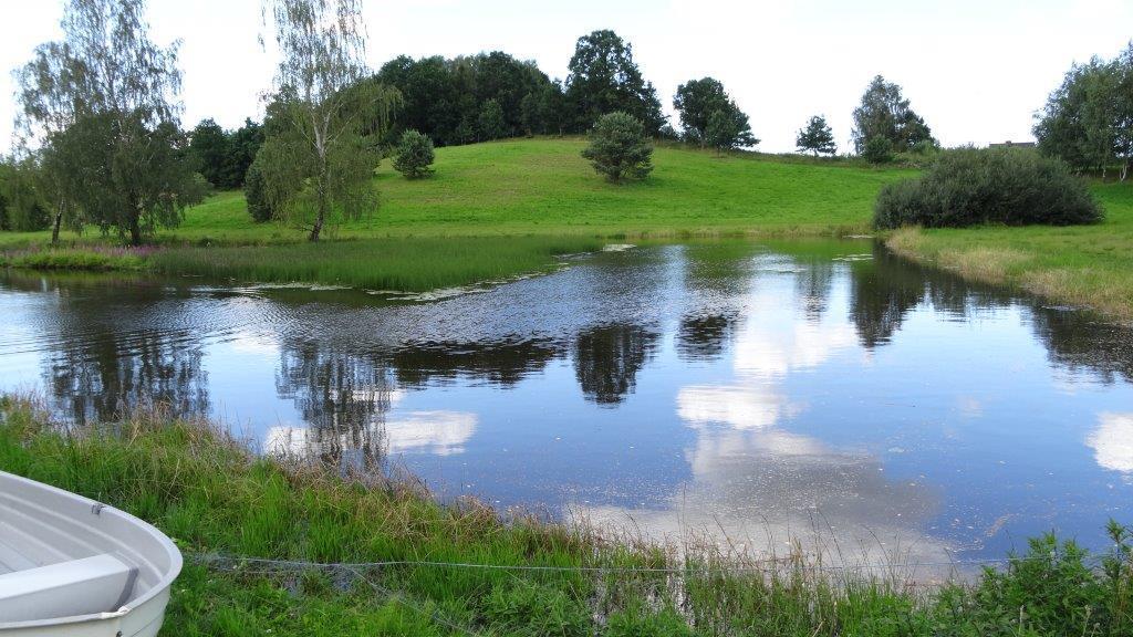 Sierakowice  Palac I Folwark Nemino מראה חיצוני תמונה