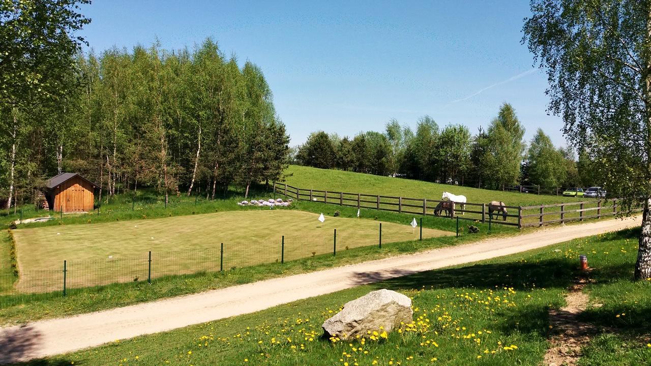 Sierakowice  Palac I Folwark Nemino מראה חיצוני תמונה